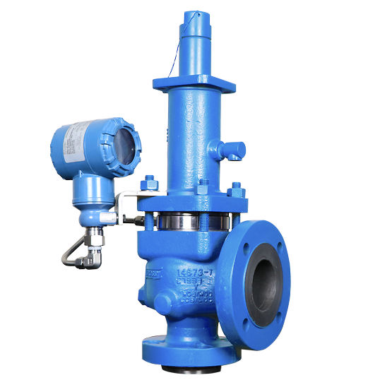 Crosby™ J 系列弹簧式泄压阀